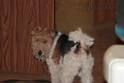 Берег весёлых Робинзонов 2017